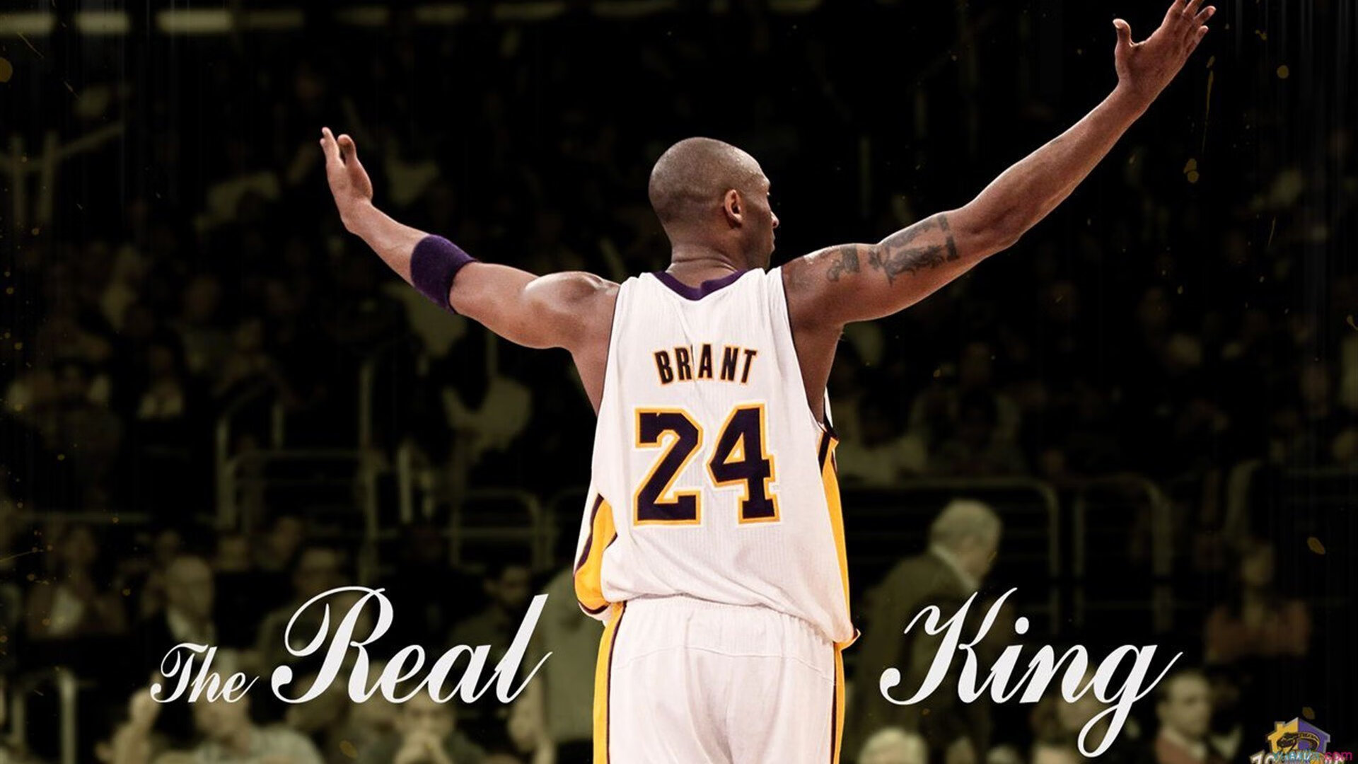 _赛事亮点：新技术助阵比赛流畅高清_，新技术吧